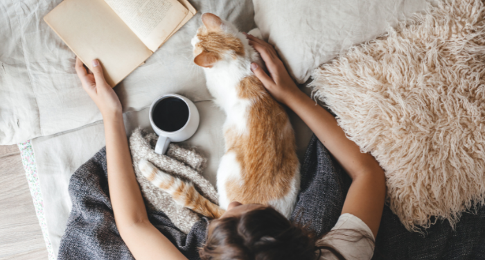 Have You Ever Tried Reading to Your Cat?