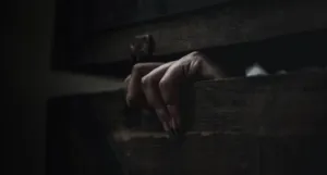 a hand emerging from a trunk in the darkness