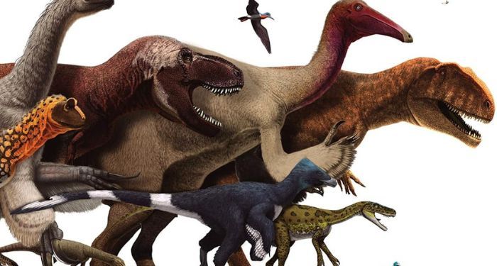 cover of Dinosaur Facts and Figures: The Theropods and Other Dinosauriformes