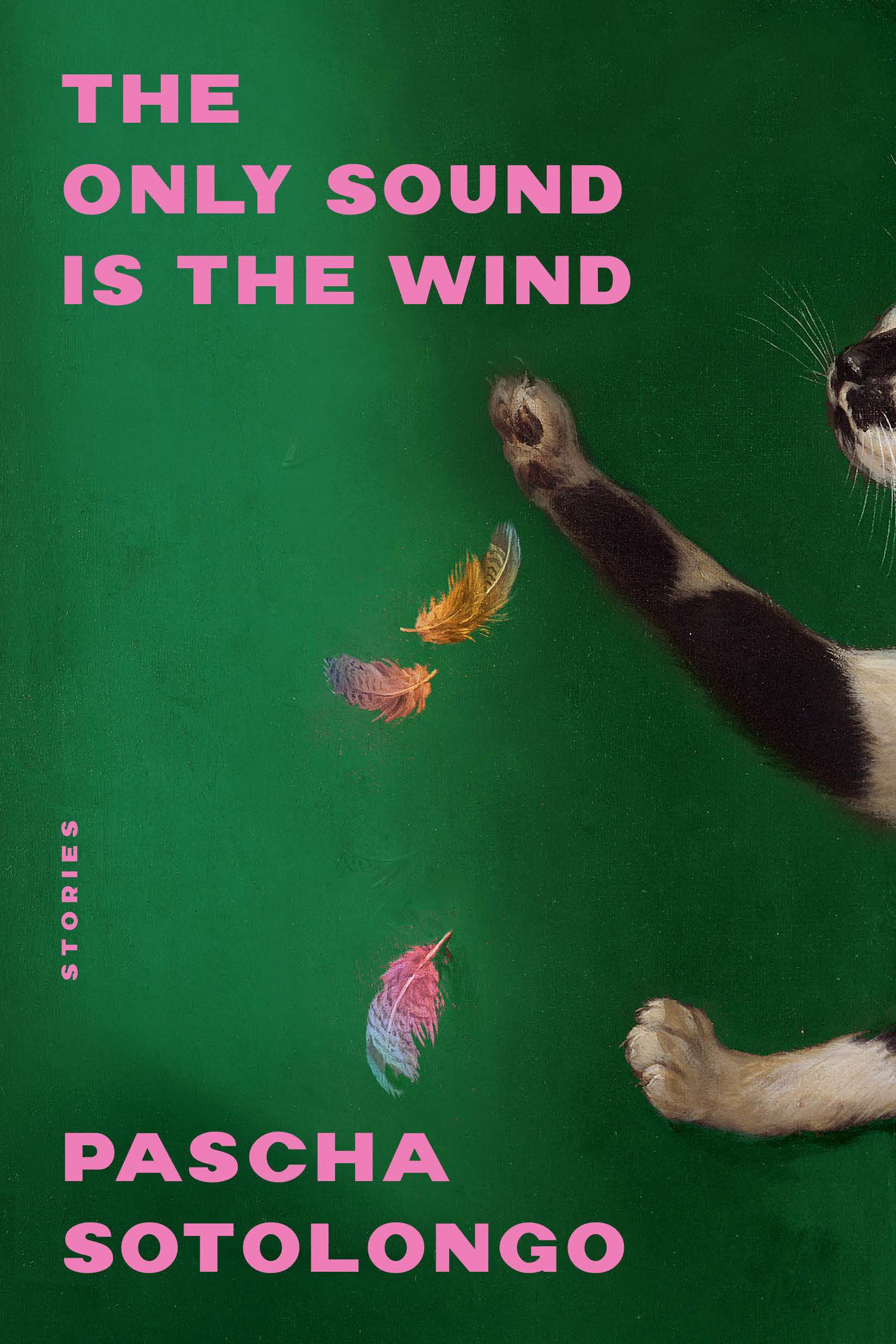 the only sound is the wind book cover