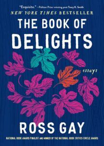 cover of The Book of Delights: Essays