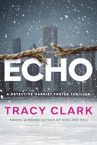 cover image for Echo