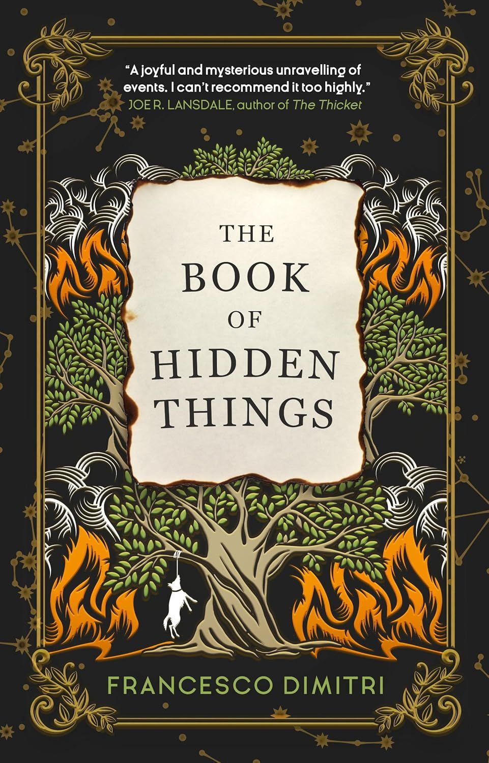 The Book of Hidden Things