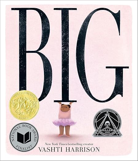 cover of big by vashti harrison