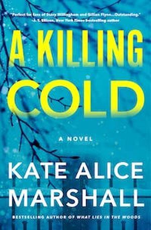 cover image for A Killing Code