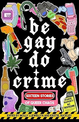 Be Gay, Do Crime cover