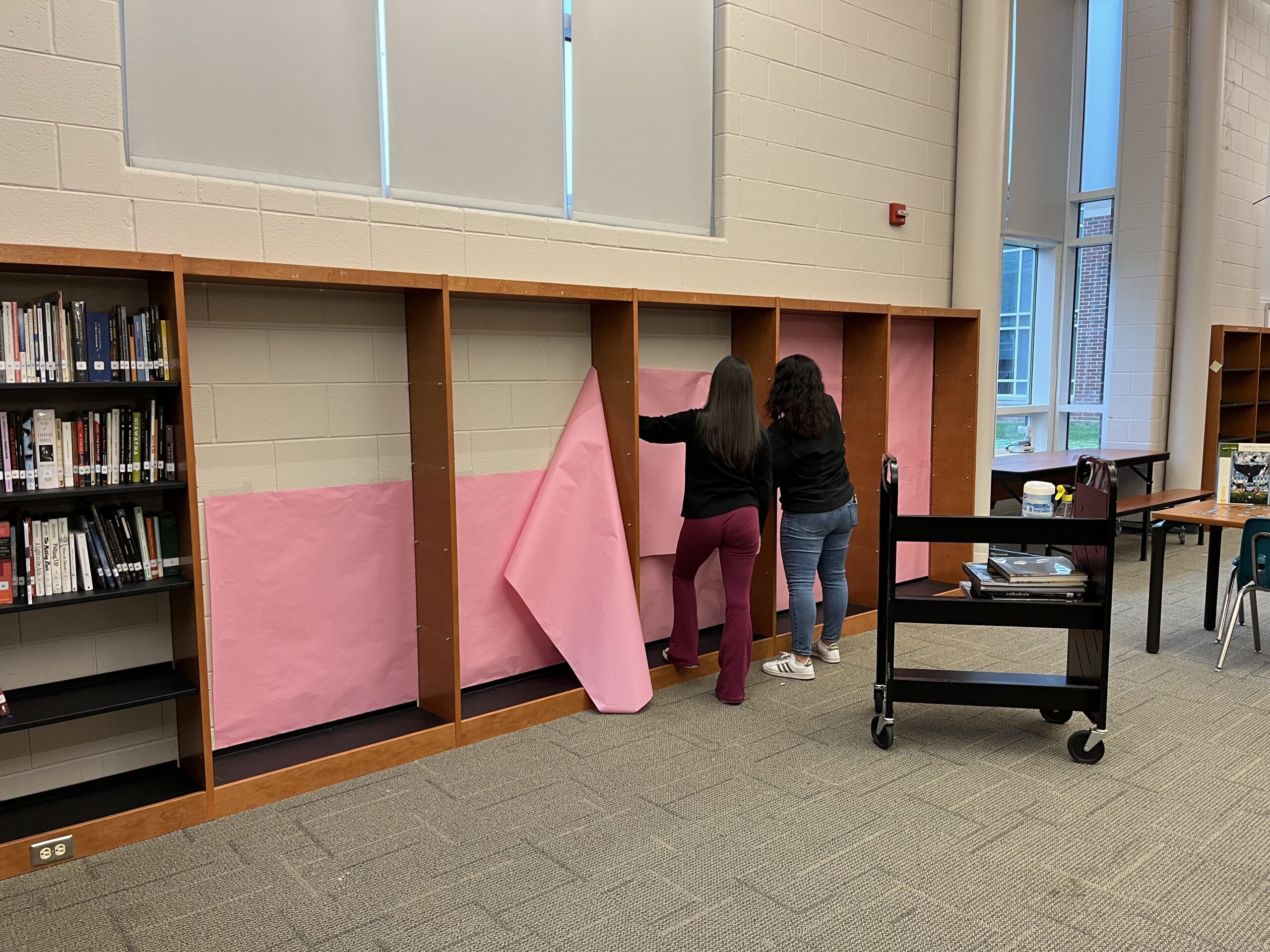 putting pink paper behind open bookshelves 