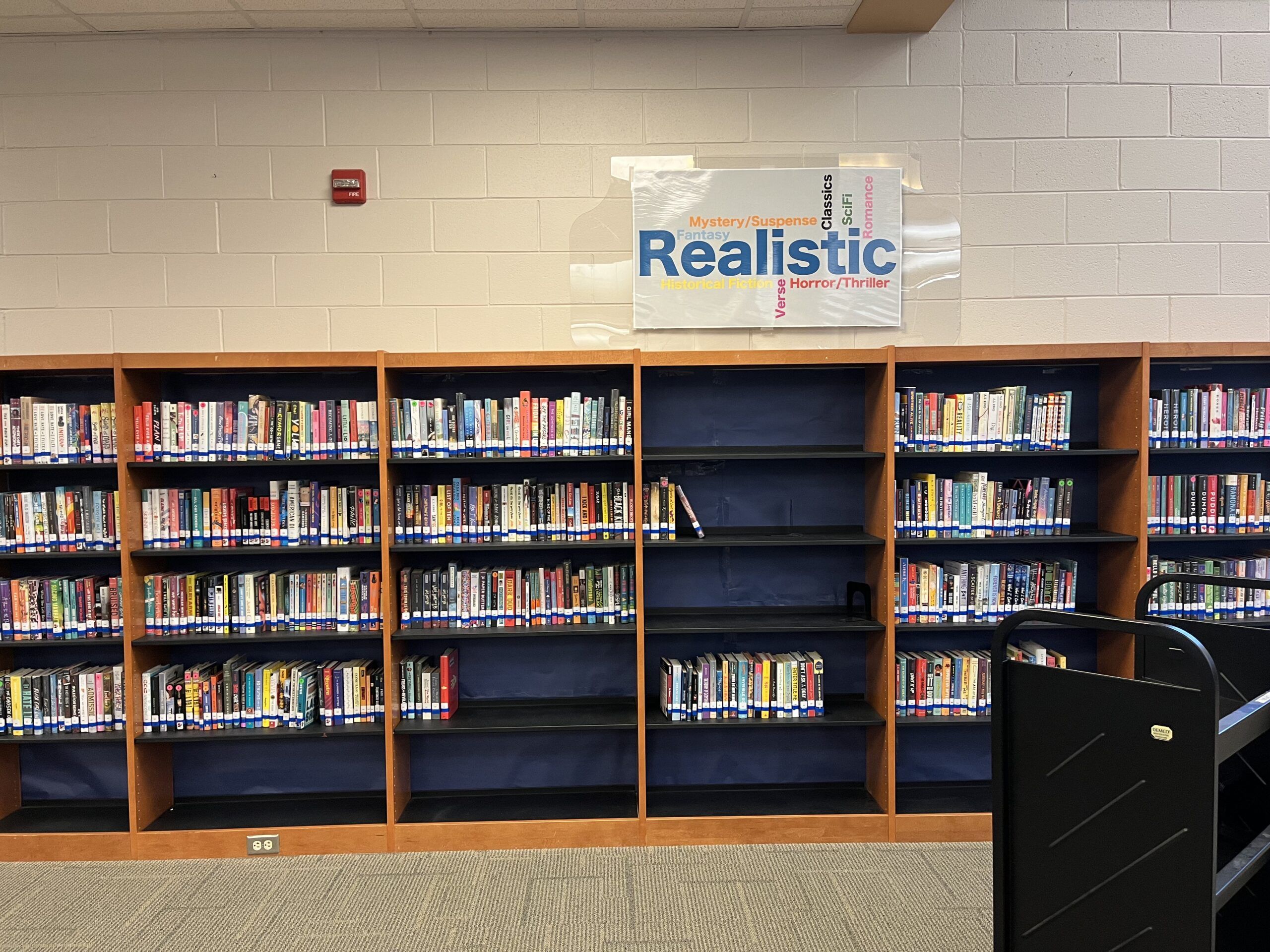 library shelves with blue paper backing and 