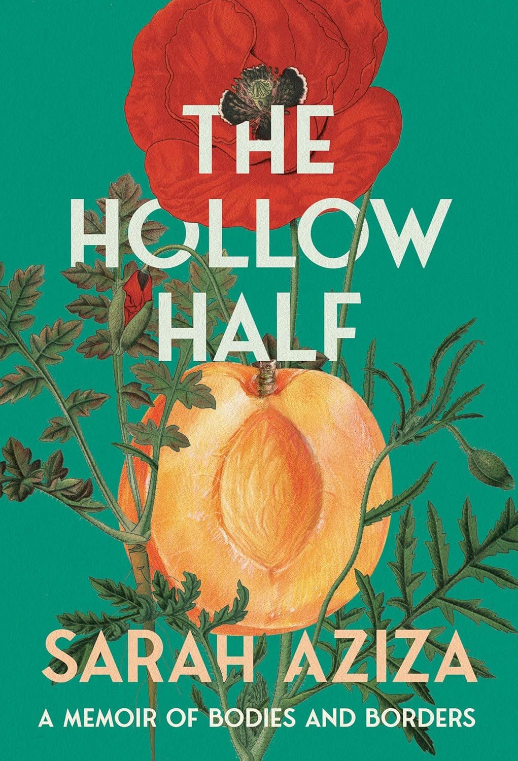 a graphic of the cover of The Hollow Half