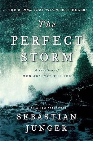 The Perfect Storm cover