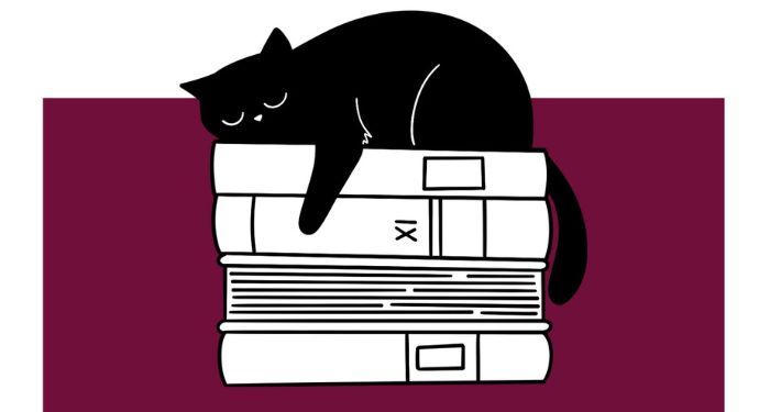 Image of a black cat on top of books from the ULUs peer support meeting flier