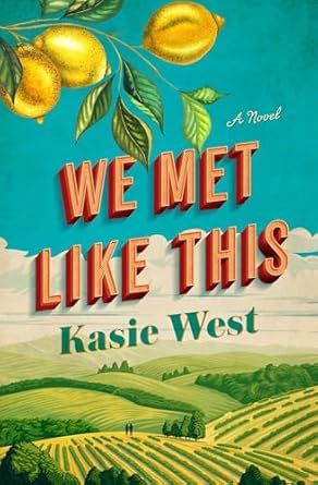 we met like this book cover