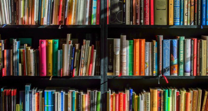 books on a shelf.jpg.optimal