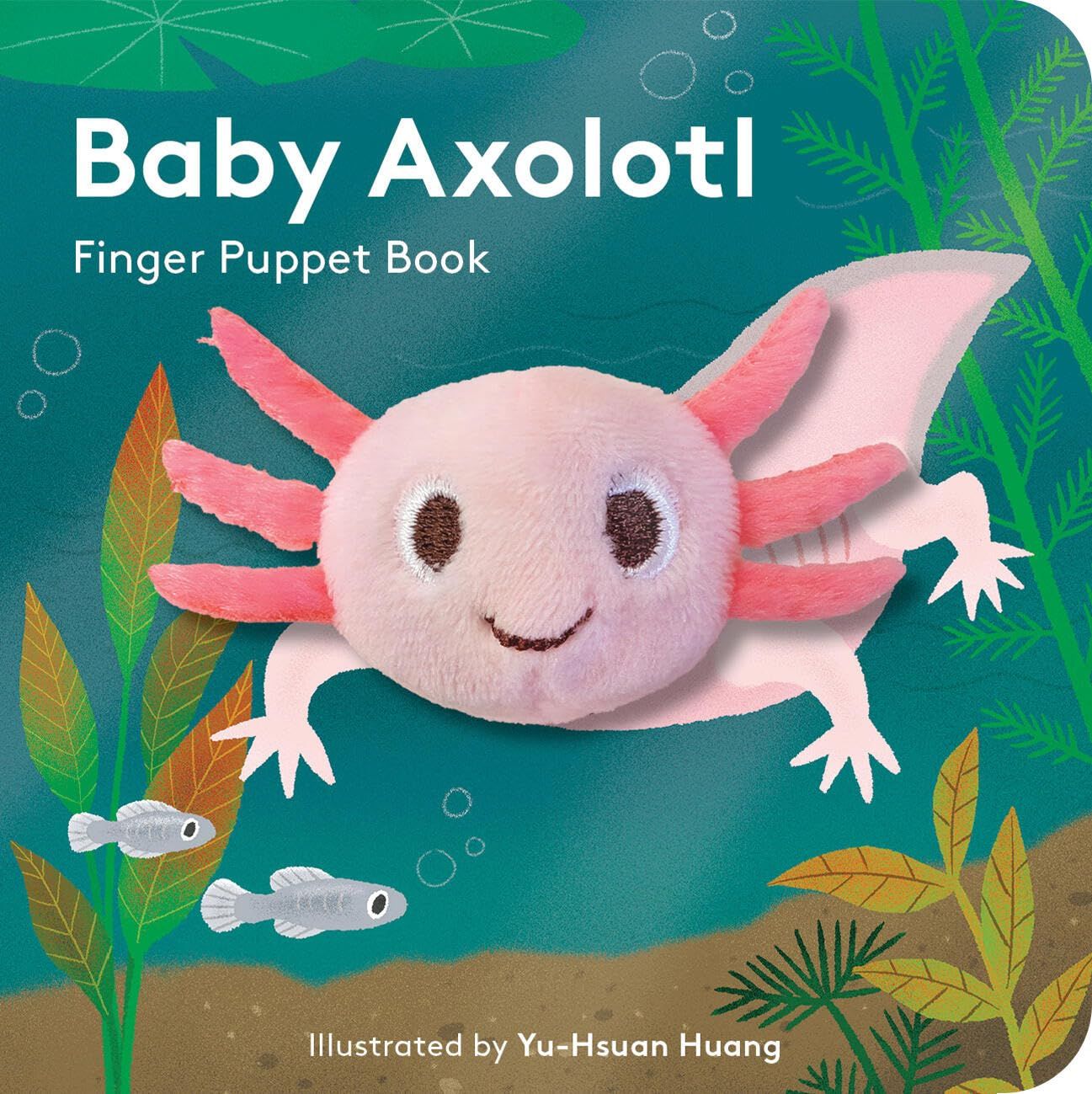 Baby Axolotl book cover