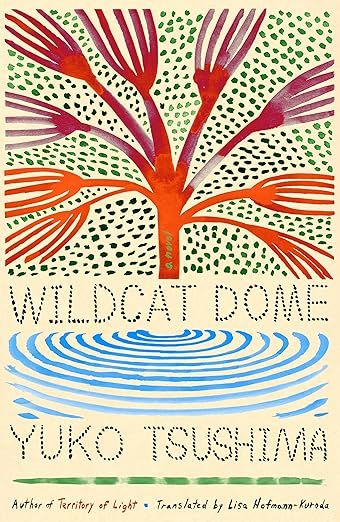 cover of Wildcat Dome