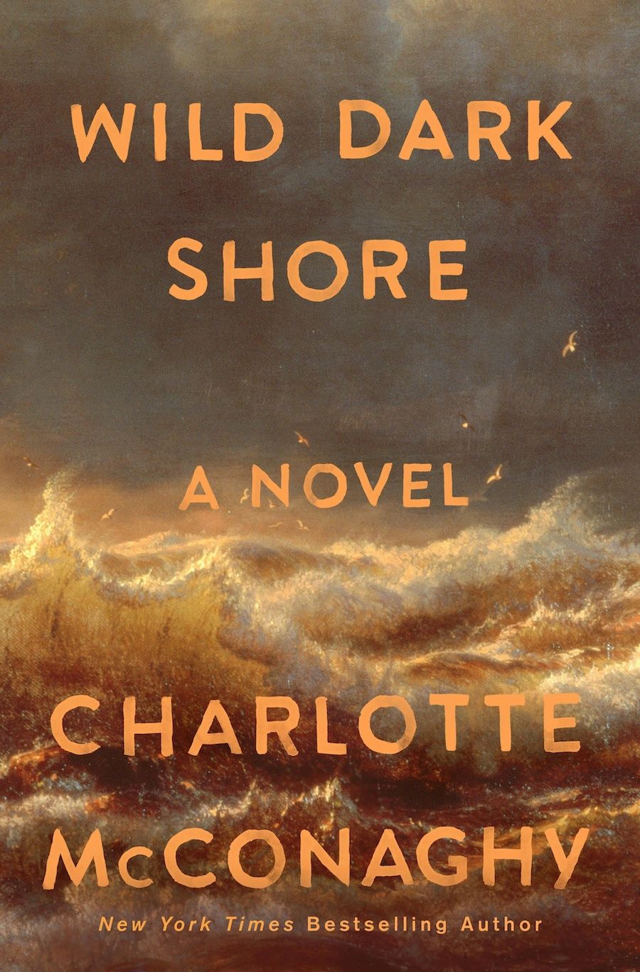 Book Cover of Wild Dark Shore by Charlotte McConaghy