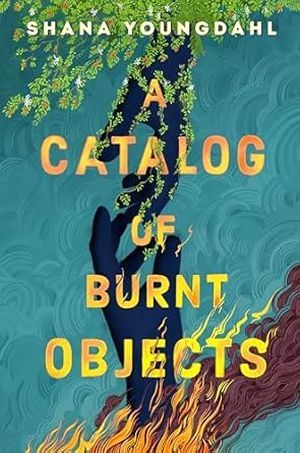 a catalog of burnt objects book cover