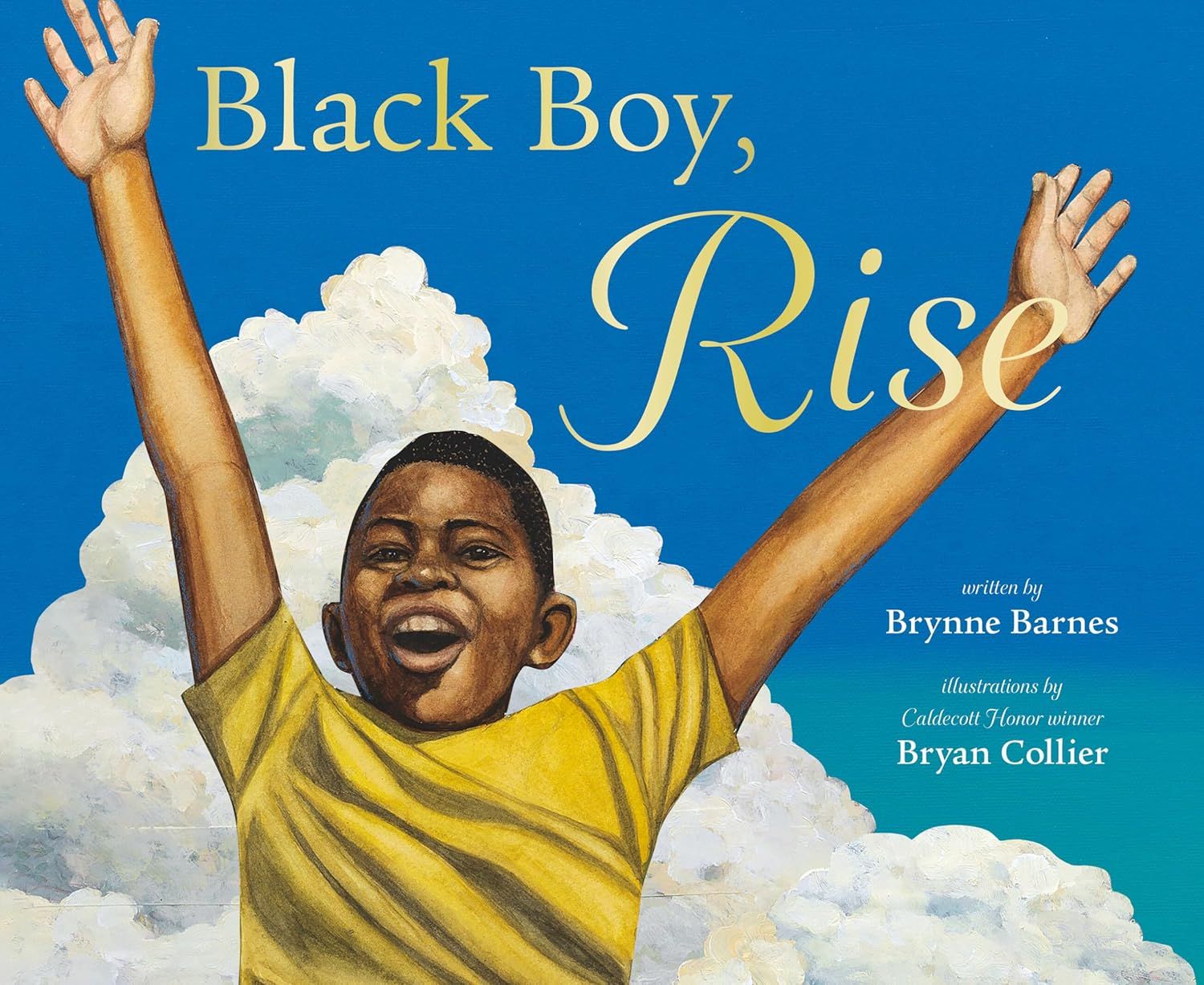 Black Boy, Rise book cover Barnes and Collier