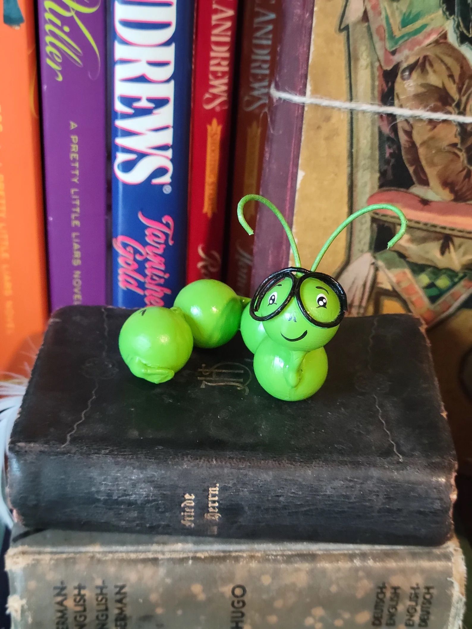 Wooden book worm