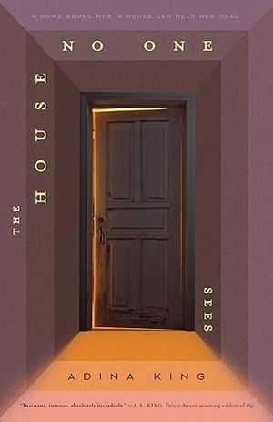 the house no one sees book cover