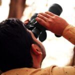 Image of an adult using binoculars to look up in a tree