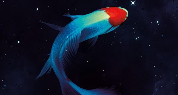 partial cover of Light From Uncommon Stars by Ryka Aoki