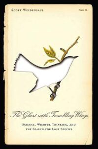 the ghost with trembling wings book cover
