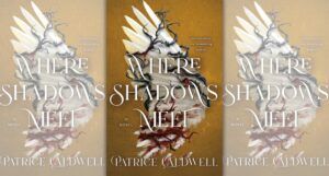 the cover of Where Shadows Meet