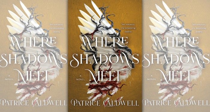 the cover of Where Shadows Meet