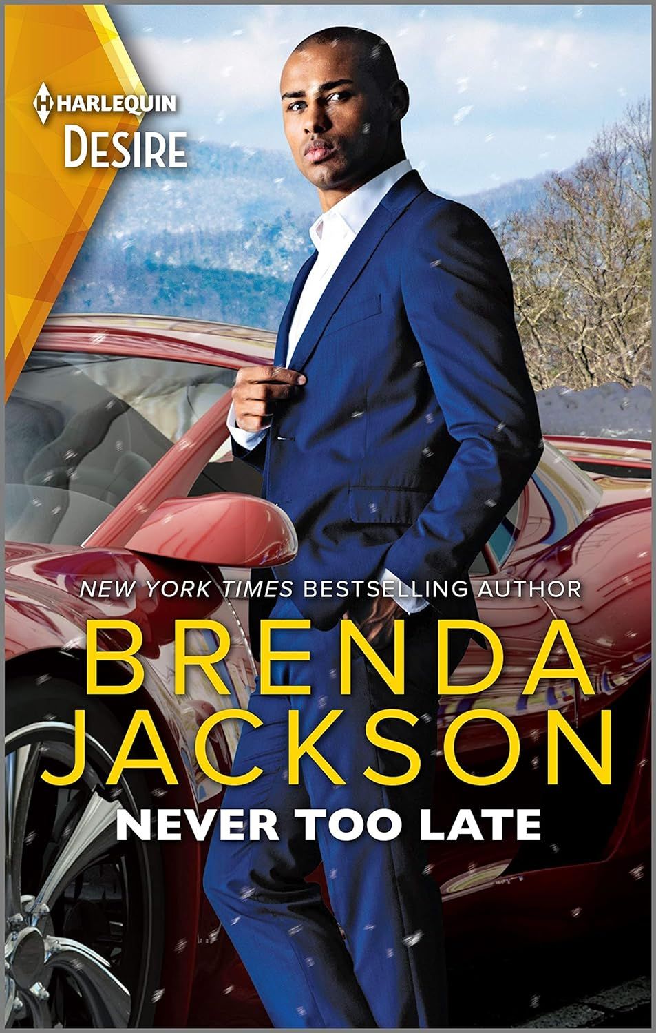 Never Too Late: A Snowbound Reunion Romance