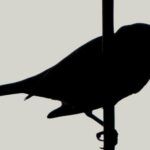 the silhouette of a small bird perched on a vertical branch