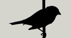 the silhouette of a small bird perched on a vertical branch
