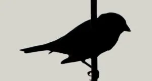 the silhouette of a small bird perched on a vertical branch