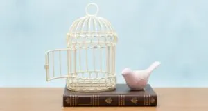 a birdcage on a book with a bird figurine beside it