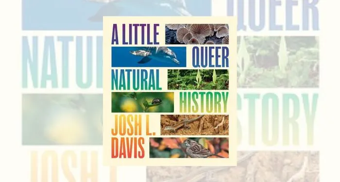 a little queer natural history book cover
