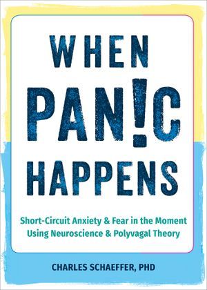 When Panic Happens cover
