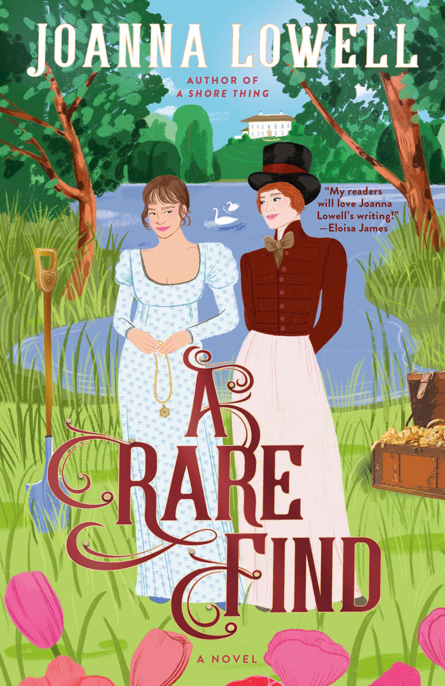 A Rare Find by Joanna Lowell Book Cover