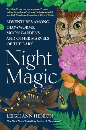 a graphic of the cover of Night Magic by Leigh Ann Henion