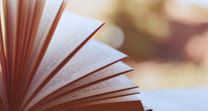 book open with pages fanned against blurred background
