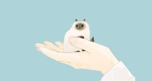 partial cover of Fairy Cat by Hisa Takano