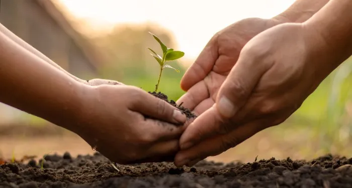 the hands of a child and adult planting a sprout