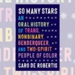 so many stars book cover