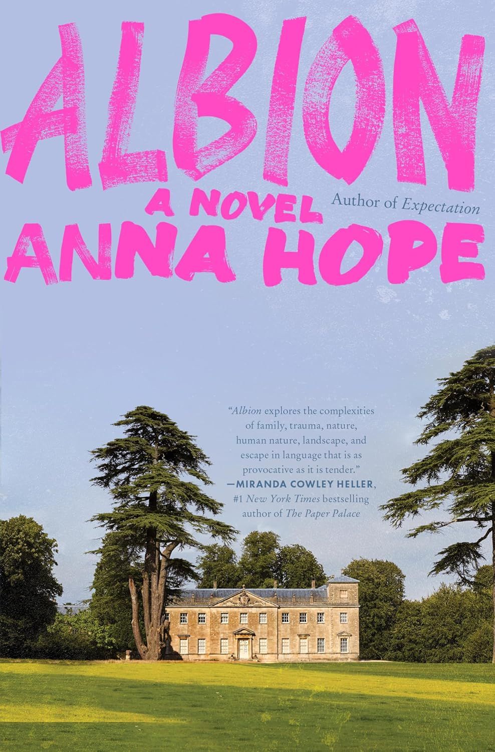 cover of Albion by Anna Hope