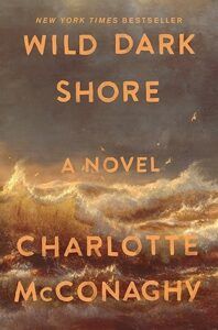 Wild Dark Shore cover