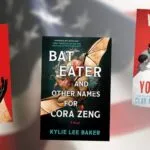 Collage of horror novels about America. The background of the image is an American flag