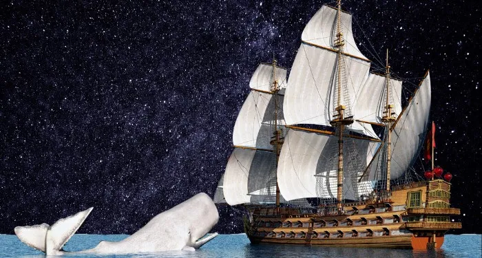 an illustrated of Moby Dick with a starry background