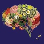 partial cover of The Mind Electric A Neurologist on the Strangeness and Wonder of Our Brains by Pria Anand
