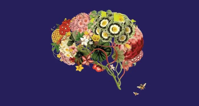 partial cover of The Mind Electric A Neurologist on the Strangeness and Wonder of Our Brains by Pria Anand