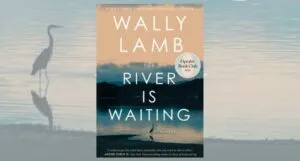 the river is waiting book cover