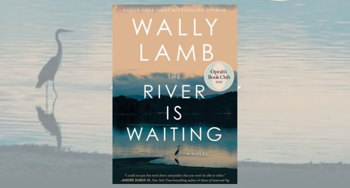 Oprah’s Book Club Announces 115th Pick and It’s An Author She’s Picked Before–Twice